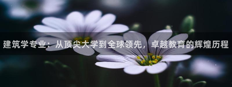 和记国际有限公司官网