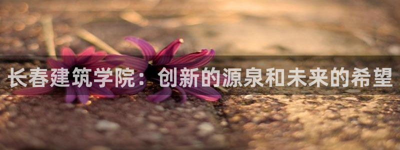 和记娱精湛h88285官网