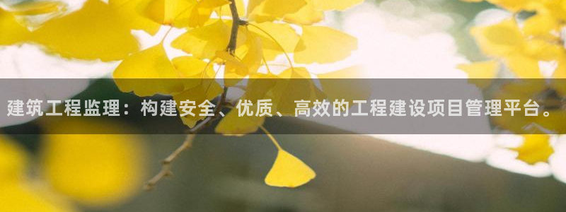 和记家家加盟官网：建筑工程监理：构建安全、优质、高效的工程建设项目管理平台。