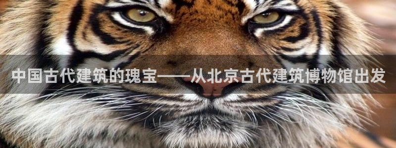 和记万佳官网