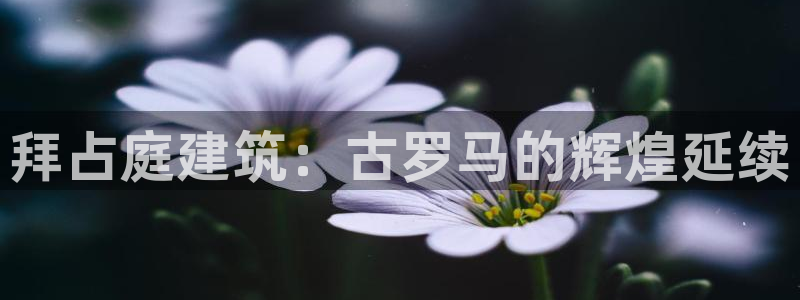 广州和记黄埔官网