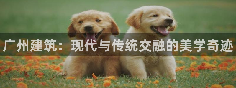 和记卡官网
