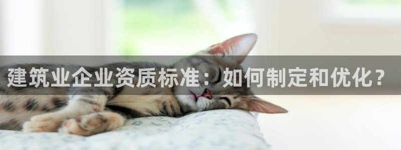 和记官网平台