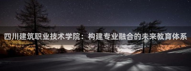 和生记官网：四川建筑职业技术学院：构建专业融合的未来教育体系