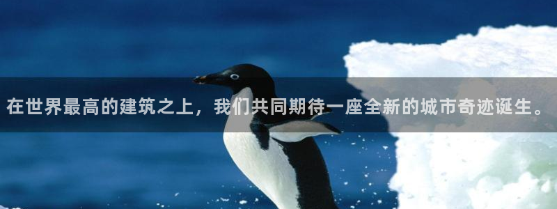 和木记官网：在世界最高的建筑之上，我们共同期待一座全新的城市奇迹诞生。
