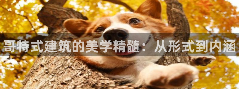 和记娱真好h88285官网