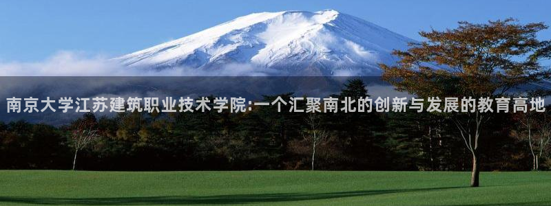 和记官网 公司