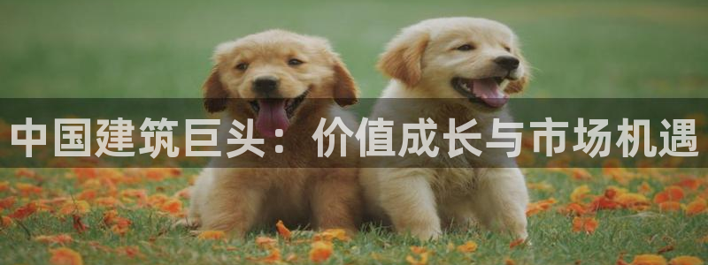 和记香港官网：中国建筑巨头：价值成长与市场机遇