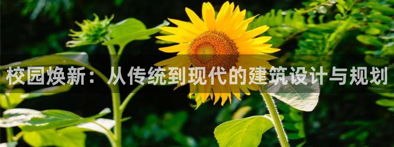 和记娱乐手机官网：校园焕新：从传统到现代的建筑设计与规划