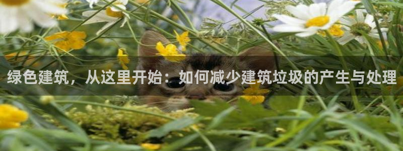 和记官网注册：绿色建筑，从这里开始：如何减少建筑垃圾的产生与处理
