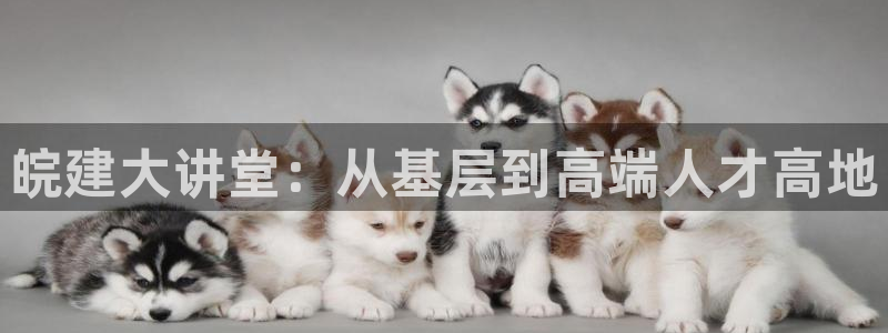 香港和记集团官网