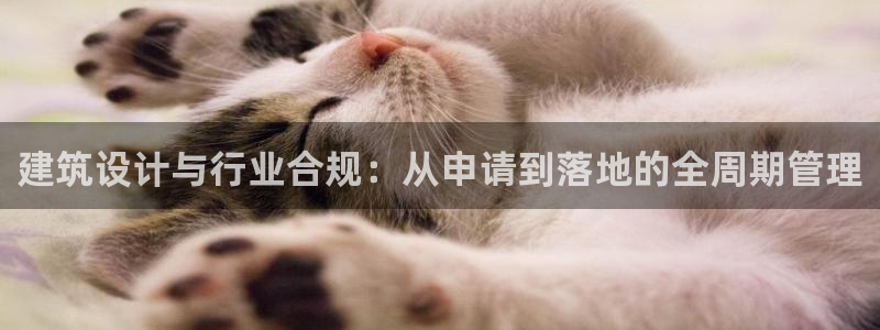 和记官网娱乐场