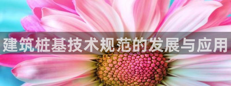和记娱安全h88285官网